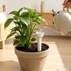Plant Watering Funnels 4Pcs Funnels, Porous Irrigation Plastic Easy Insert Soil for Indoor Outdoor Potted Plants Slow Release