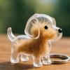 Transparent Dog Hair Storage Box Dog Shape Puppy Pendants Pet Hair Keychain  Jewelry Gift