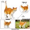 Solid Orange Persian, Ragdoll, Somali, and Blue Short-haired Cat Simulation Models