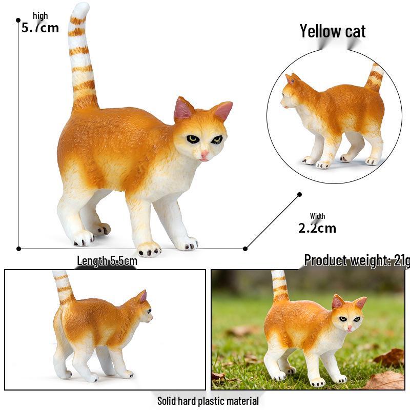 Solid Orange Persian, Ragdoll, Somali, and Blue Short-haired Cat Simulation Models