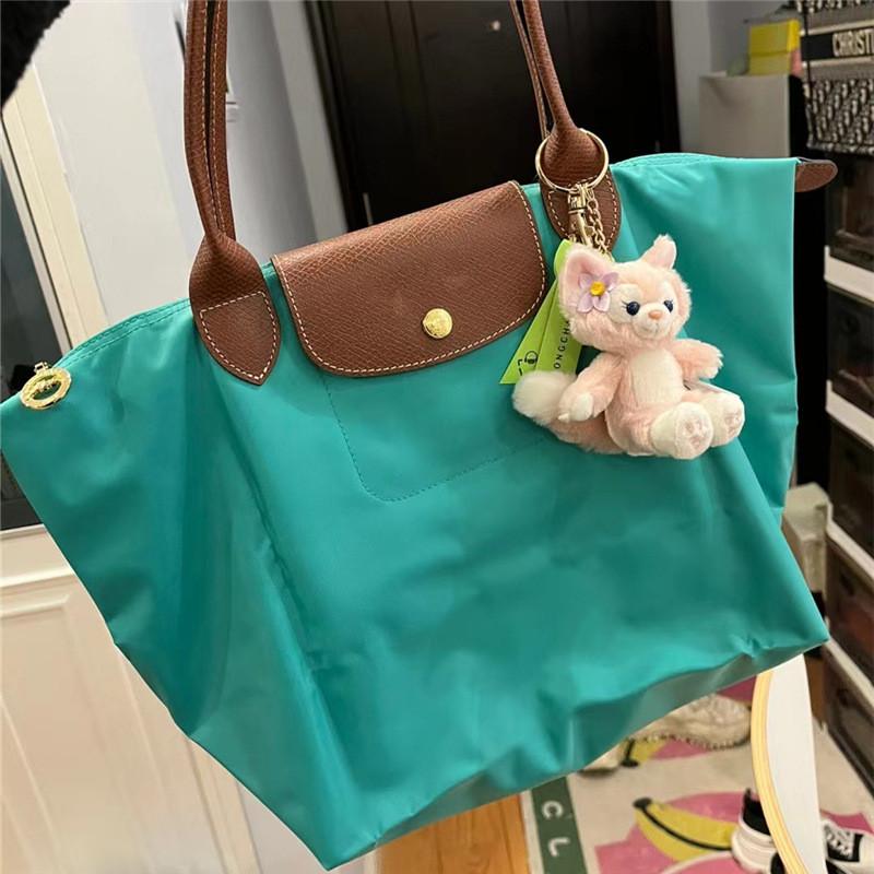 Unique Style Dumpling Large Nylon Shoulder Bag For Women With Ecofriendly Features In Hues Classic