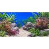 AWERT 48x24 Inches Aquatic Plant Fish Tank Background Stone River Bed & Lake Aquarium Background Vinyl