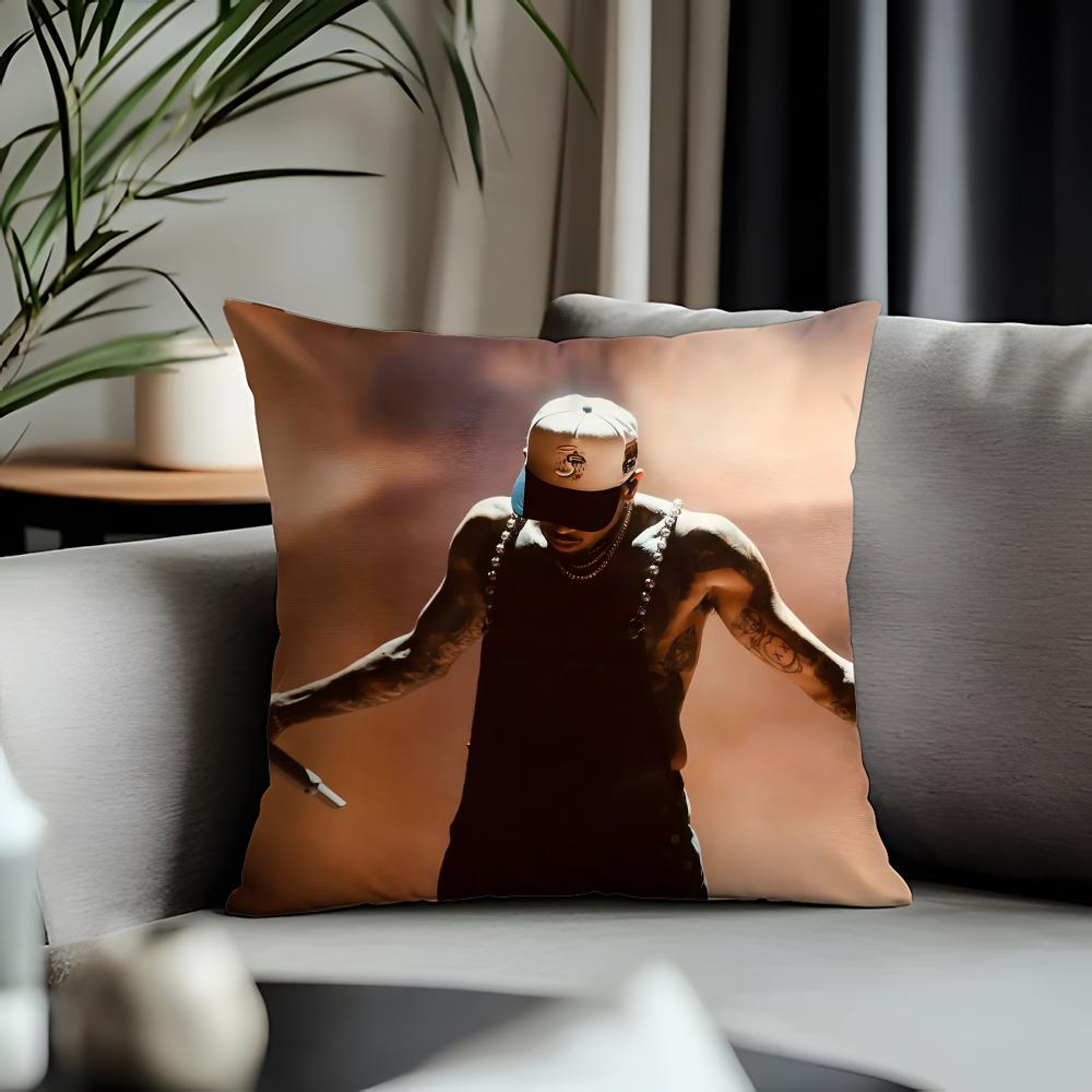 Hot Cchris Brownful Cushion Cover Antidustmite Pillowcase Invisible Zipper Silky Short Plush Sofa Cushion Cover