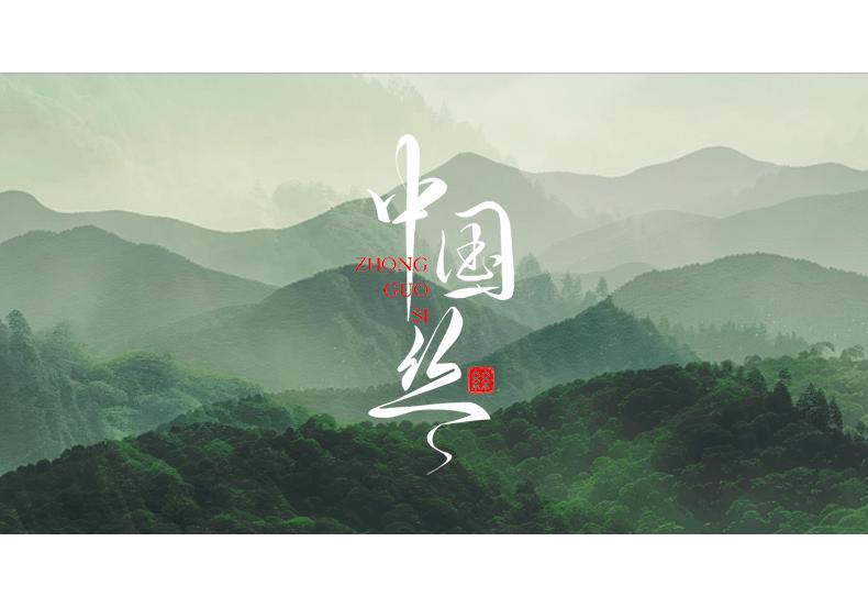 Mengjie Home Textile Class A Antibacterial 100% Silk Quilt