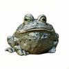 Toad Tissue Box Holder Decorative Whimsical for Living Room