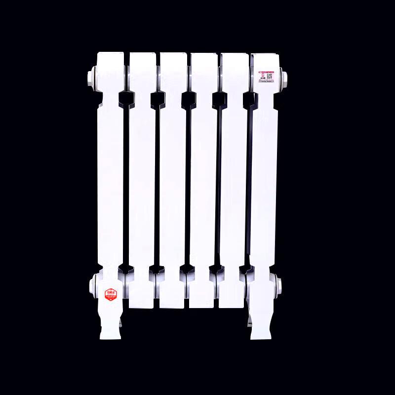 Lixing TZY2-6-8/62B Cast Iron Radiator