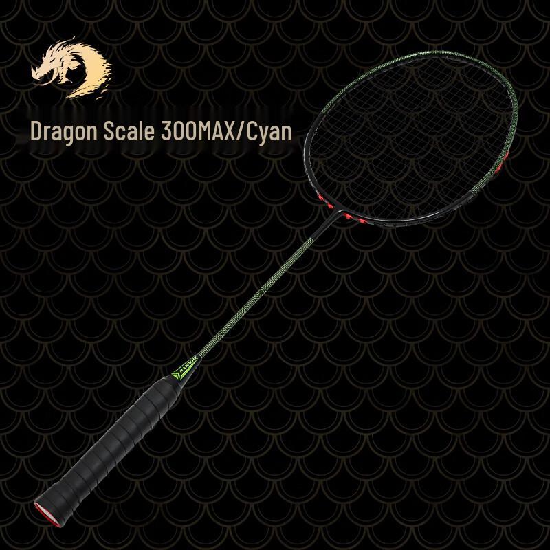 ZhanYu Professional Full Carbon Offensive Badminton Racket