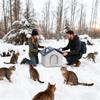 Casa de Gato para Exterior Inverno Isolada Cama de Dormir para Animal de Estimação Abandonado Caverna Aquecedora para Animais de Estimação Resistente ao Frio para Jardim Pátio Quintal