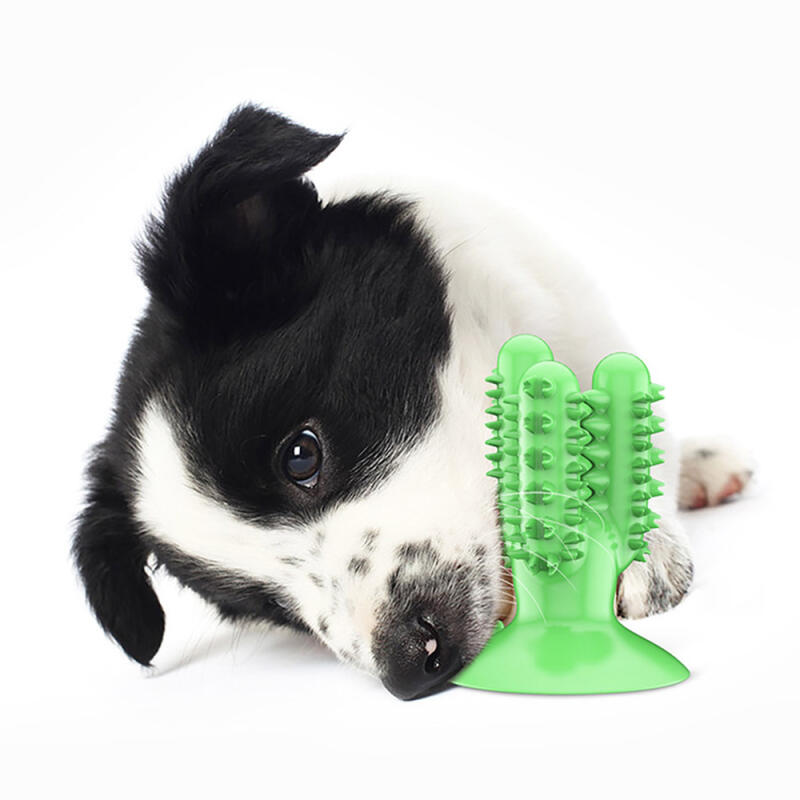 Green Cactus Dog Tartar Remover Chikatoy (9x13cm)