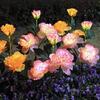 Solar powered LED simulation peony flower ground plug light outdoor courtyard garden decorative light