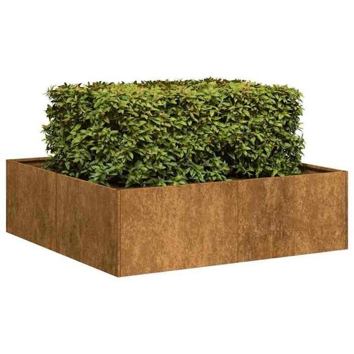 VidaXL Jardinière rouillé 100x100x30 cm acier inoxydable, pot de fleurs, support de plantes, lit surélevé, support de 860814