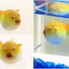 Aquarium Fish Tan Silica Gel Night Light Puffer Fish Aquarium Decoration Simulation Fish Night Light