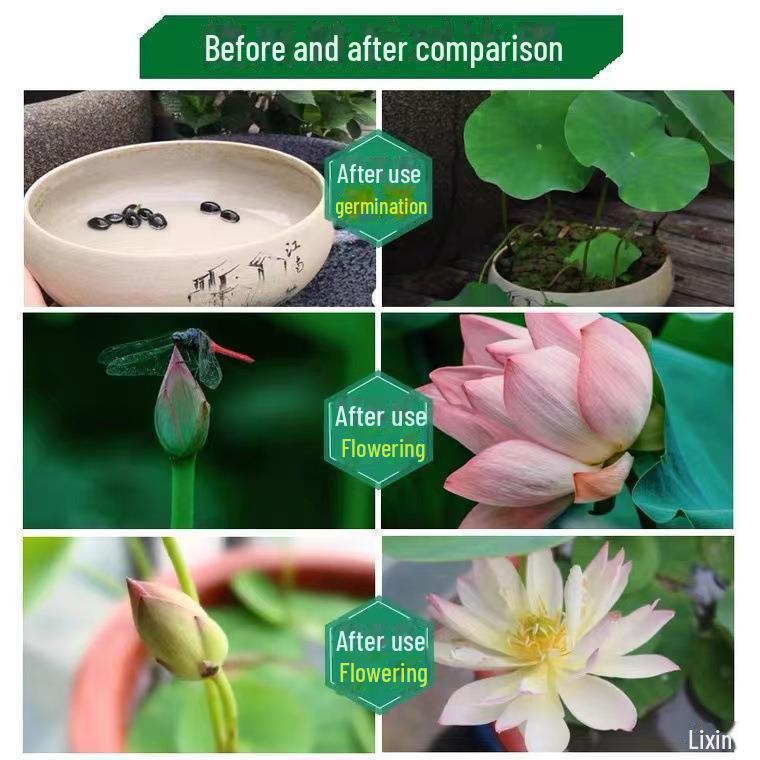 Lotus Water Purifier Tablets - Purifies Water, Deodorizes Pools, Removes Impurities, Clears Hydroponic Plants