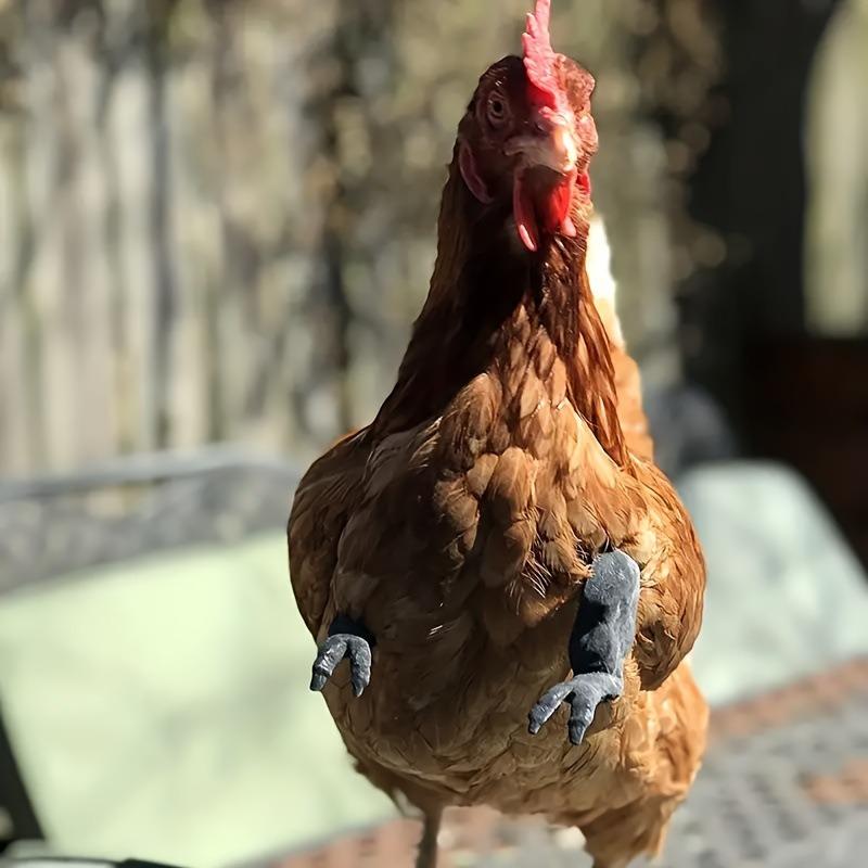 1 par Kycklingarmdekoration Kycklingframbensdekoration Husdjursrekvisita Kycklingarmar Lämplig för Husdjursutklädnad