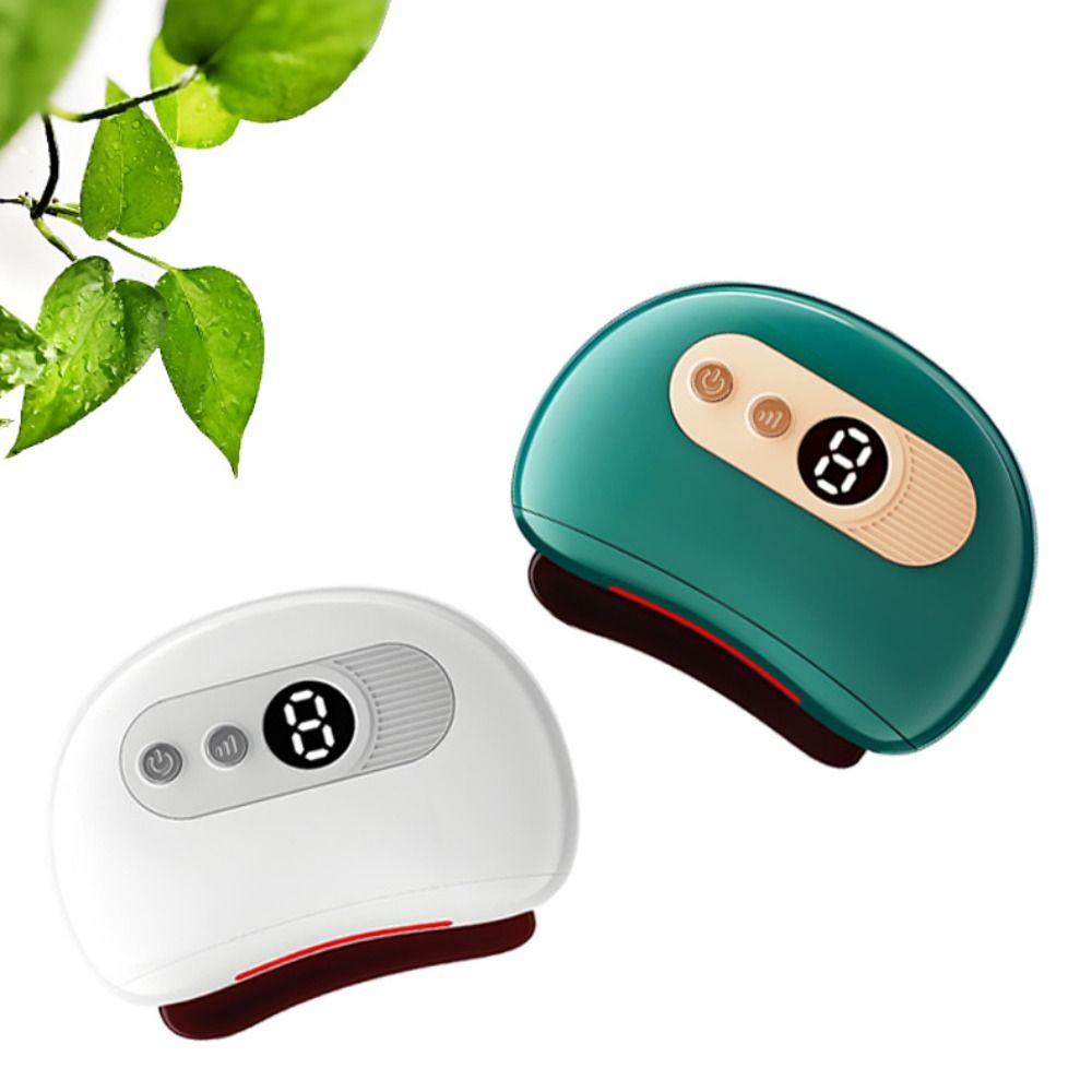 Constant Temperature Electric Scraping Plate Deep Conditioning Face Massager  Professional Use
