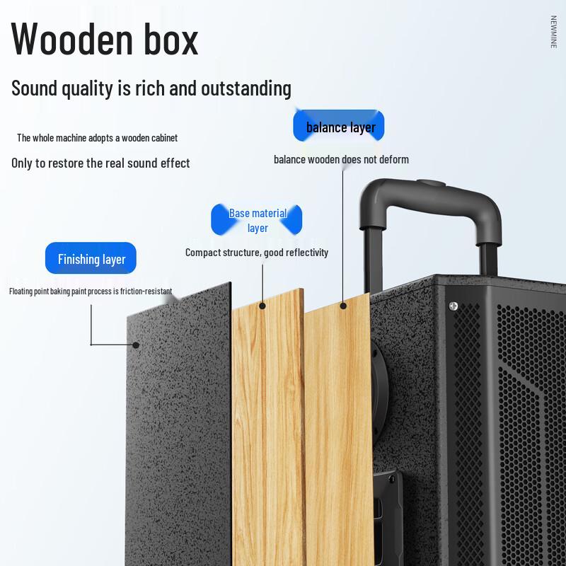 Newsmy N530 12-inch Portable Karaoke Trolley Speaker (CN Version)