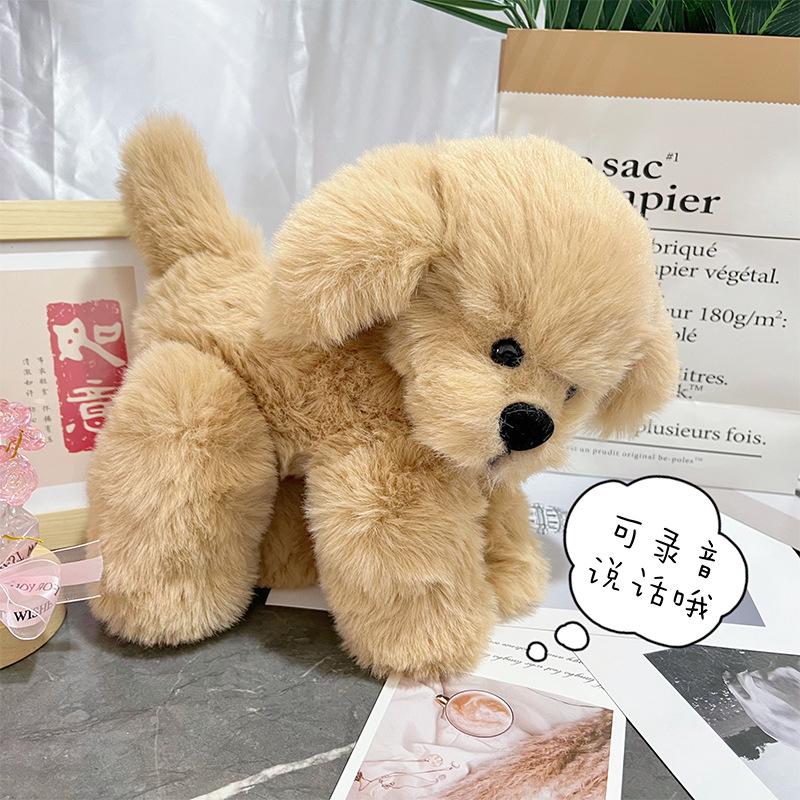 

Циси Золотистый ретривер Шарнирная плюшевая записывающая кукла Набор для DIY на День святого Валентина 25 cm