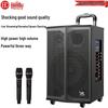 Huidu T-12L Professional Outdoor Portable Live Broadcast Speaker (CN Version)