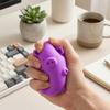 Pig Squeeze Toy Animal Stress Relief Toys for Kids Splash Fidget Toys (1PCS)  Sensory Toys for Children Party Favors