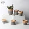 Homlly Nordic Cement Bonsai Green Flower Pot (Different Shapes)  ( X3PCS)