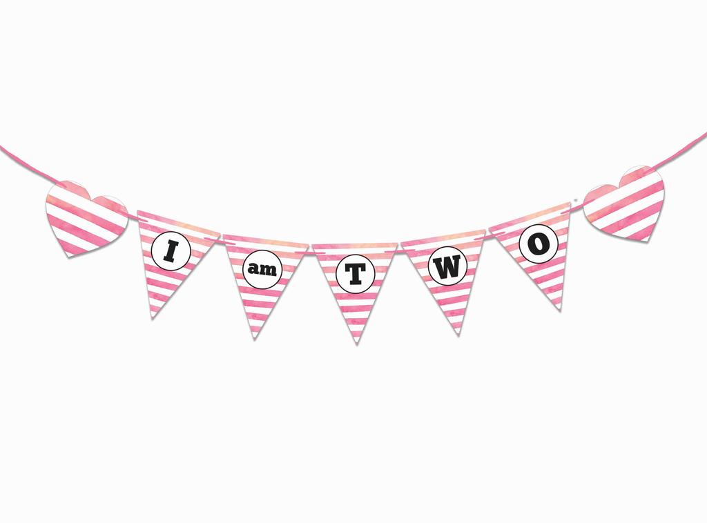 Inkdotpot Birthday Party Decorations Happy Birthday Party Garland Baby Girls Polka Dot Pennant Banner