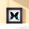 Wall-Mounted Butterfly Specimen Photo Frame: Home Decor & Gift for Valentine's Day, Qixi, Birthday, Couples & Insect Lovers
