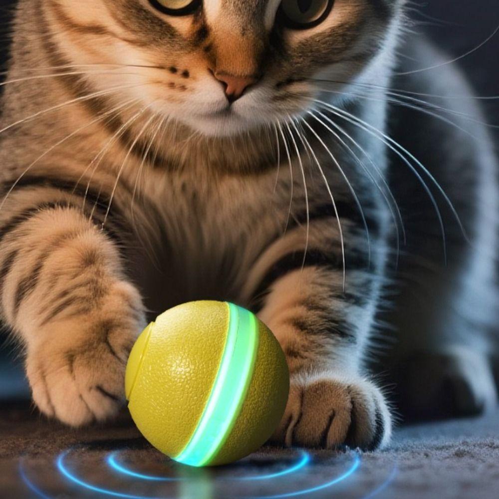 Automatic Rolling Electric Smart Ball USB Pet Toy Silent Cat Teaser  Cat