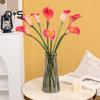 Icke blekande konstgjord växt Iögonfallande Fancy Crimping Calla Simulation Flower