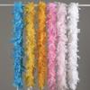 Fire Piece Feather Strip Turkey Feather DIY Feather Clothing Window Wedding Decoration Accessories Feather Decoration