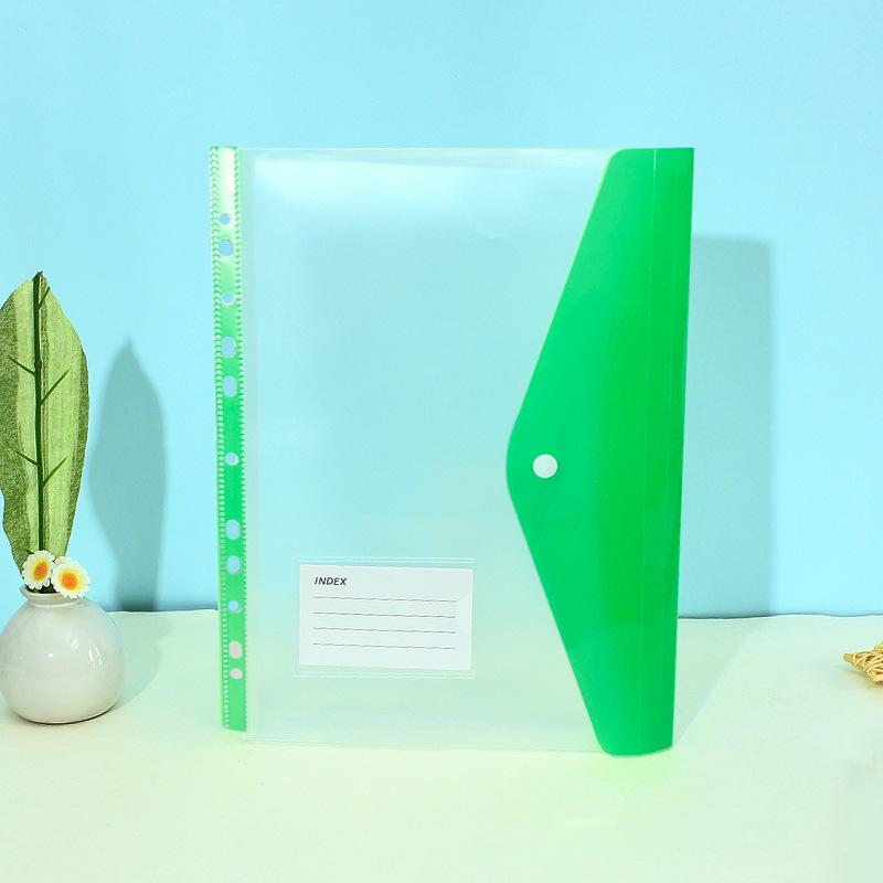 11-Hole 3D A4 Transparent Snap-Button File Bag with Card Holder - Colorful Student Document Organizer