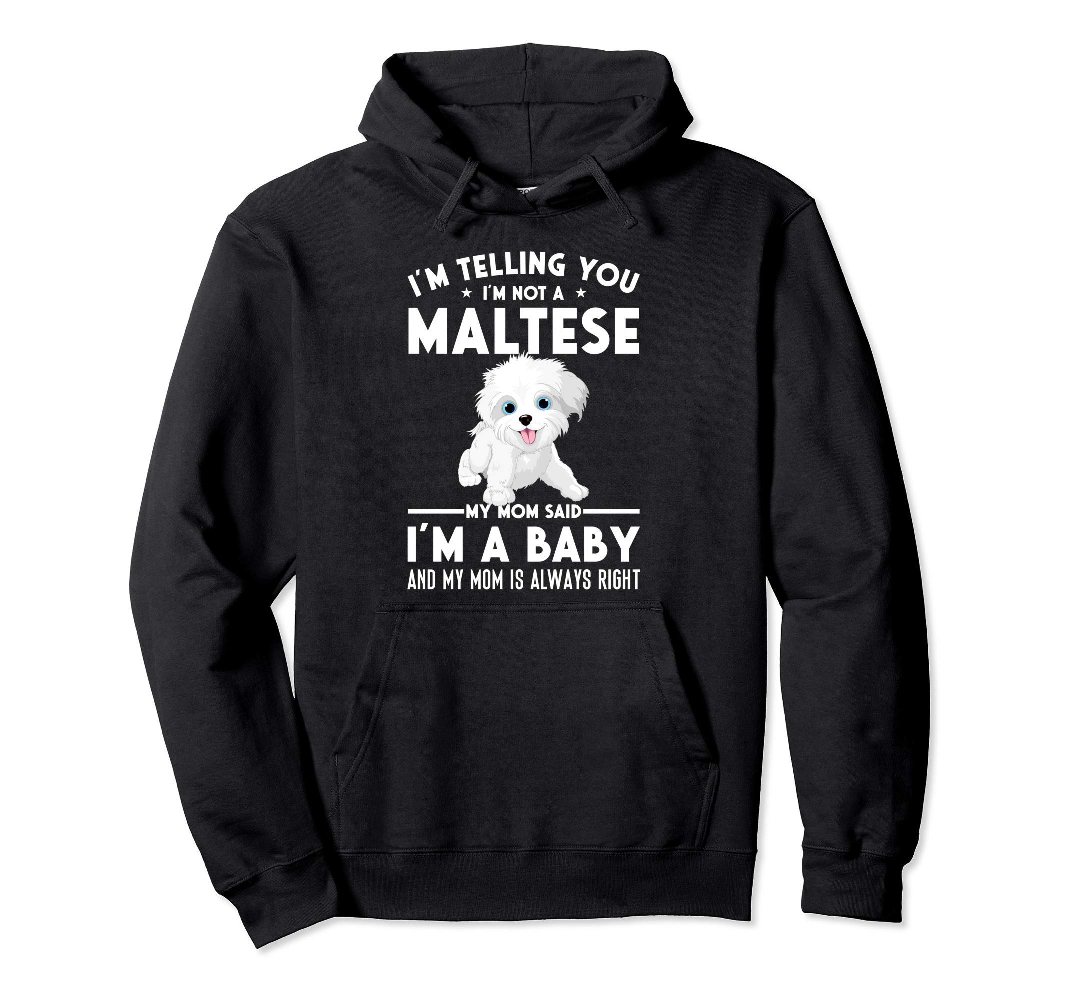 

not Maltese my mother said a baby Parker I m I m чорний