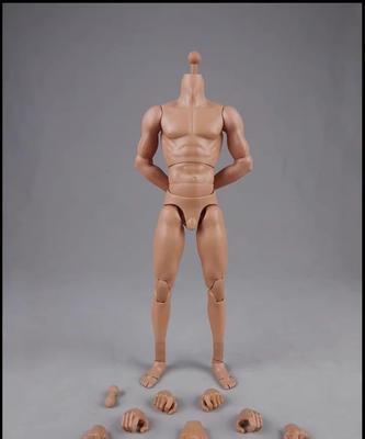 Toy Hobby Action Figure COOMODEL COO Male Body Action Body Muscular Body [TOYBARJAPAN] 1/6 BD001/02/03/04/07/08/09/10 (Tall BD004)