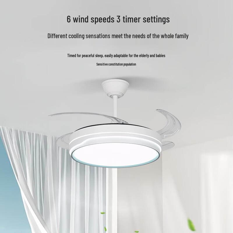 OEING Modern Minimalist 42-inch Ceiling Fan with Light