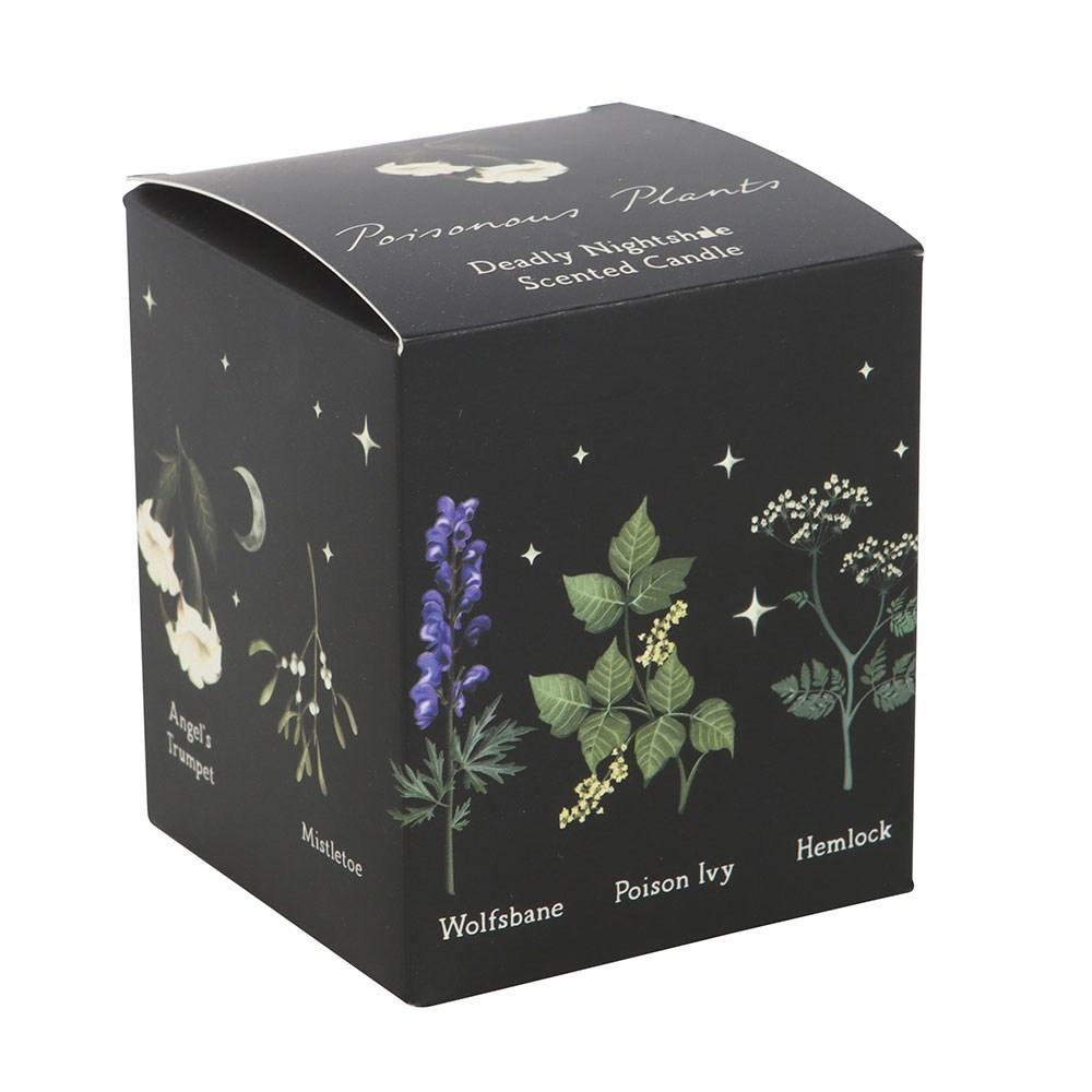 Something Different Deadly Nightshade Scented Candle