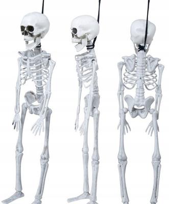 Decoration White Human Skeleton Skeleton Bones Halloween Party 40M