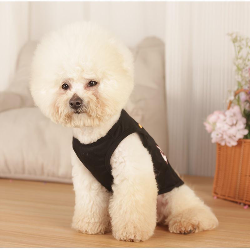 Neue Hundekleidung Dünne Atmungsaktive Katze König Weste Haustierkleidung