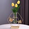 Nordic Hydroponics Vase Table Ornaments Minimalist Design Vase Simulation Flower Holder for Wedding Centerpiece & Home Decor