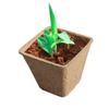 10 Pcs Peat Pots for Seedling Outdoor Garden Germination Nursery Pots Pulp Biodegradable Seed Starter Pots Kits