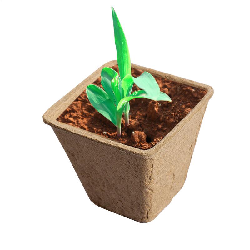 10 Pcs Peat Pots for Seedling Outdoor Garden Germination Nursery Pots Pulp Biodegradable Seed Starter Pots Kits