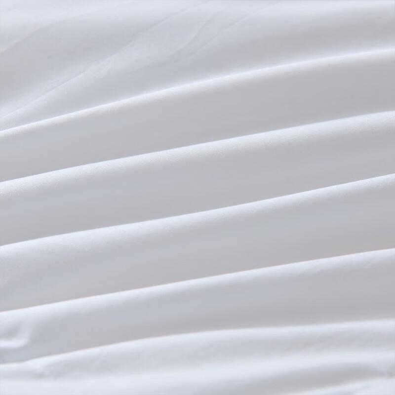 Fang'en FN-B6064 All-Season Down Comforter