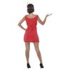 Fiestas Guirca Womens/Ladies Flapper Costume Set