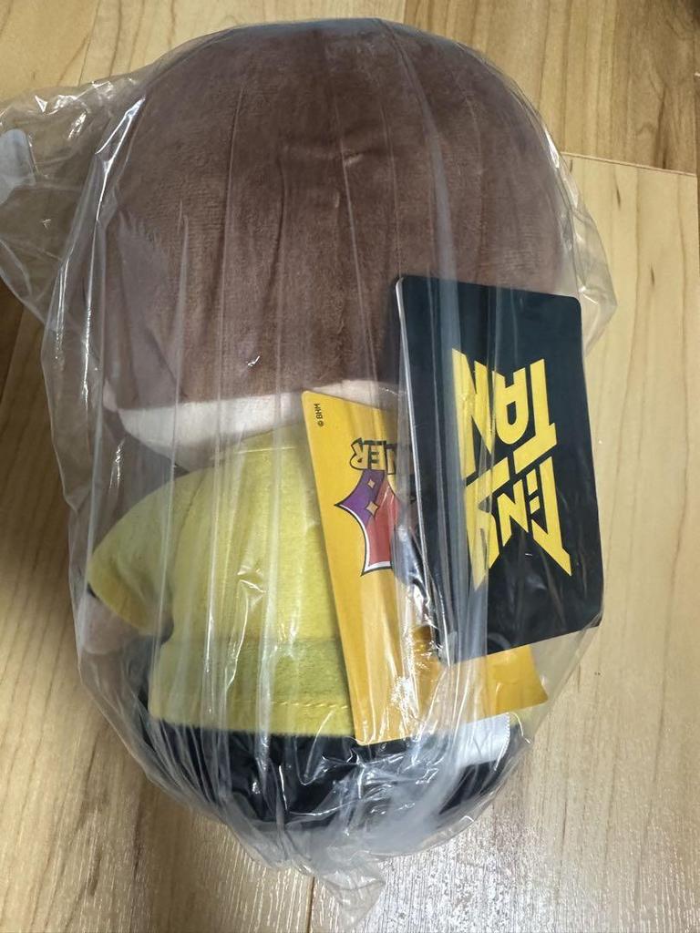 [USED] BTS TinyTAN Sitting Plush Toy Butter V Taehyung V