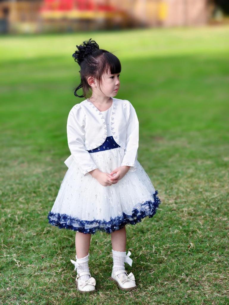 2026 Lente/Herfst Meisjes Lange Mouwen Mesh Rok Prinses Tweedelig Set