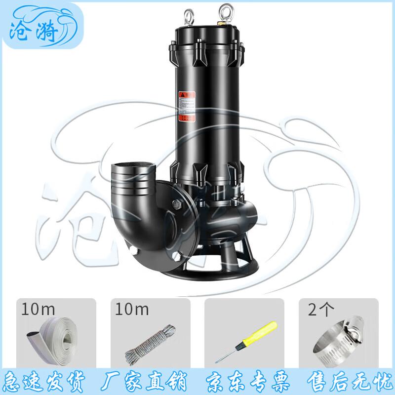 Cangyi Emergency Industrial Drainage Pump