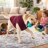 Fleece Dog Sweater Vest Warm Dog Bottoming Shirt Pet Supplies Pet Calming Clothes  Home Indoor