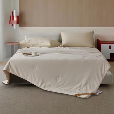 Hongxiu Shifang Jacquard Tencel Tussah Silk Quilt