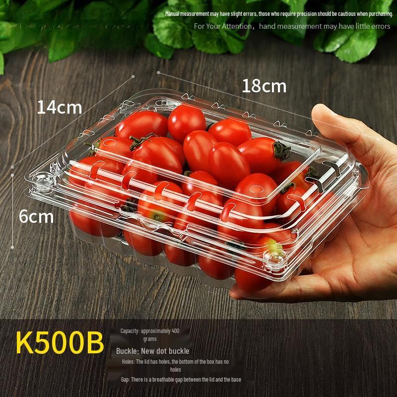 Shixun Disposable Fruit Packaging Boxes