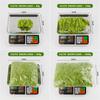 20/40/100g Eternal Life Moss DIY Crafts Grass Artificial Green Plants  Home Room Garden Decor Mini Landscape Fake Grass Bonsai
