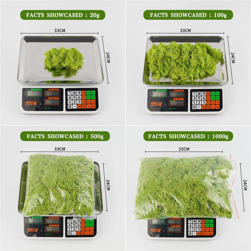 20/40/100g Eternal Life Moss DIY Crafts Grass Artificial Green Plants Home Room Garden Decor Mini Landscape Fake Grass Bonsai