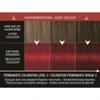 Syos Hair Color Pantone Pompeii Red 18-1658 1 Set